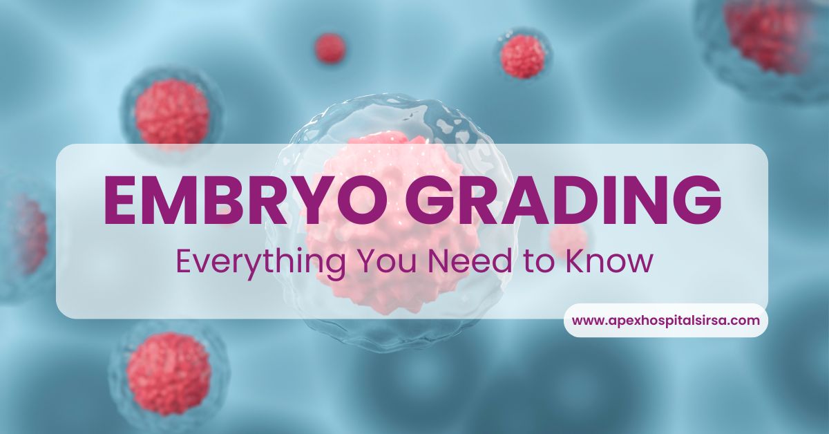embryo grading
